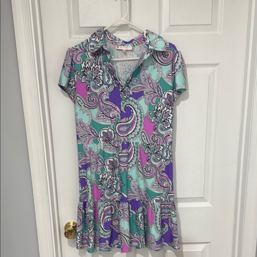 Paisley Print Dress in Purple and Teal